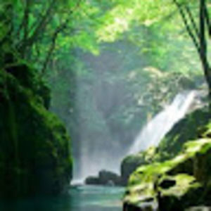 Meet your Posher, Patty